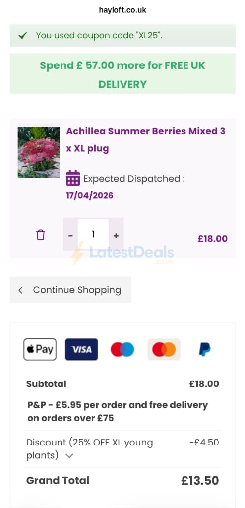 Screenshot of the Hayloft discount code working
