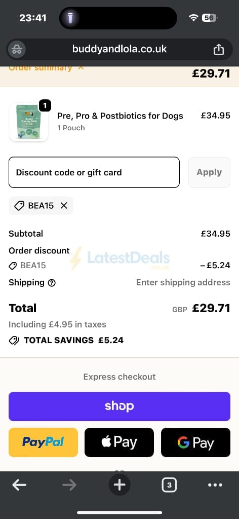 Screenshot of the Buddy & Lola discount code working