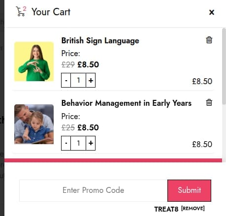 Screenshot of the One Education discount code working