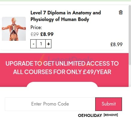 Screenshot of the One Education discount code working
