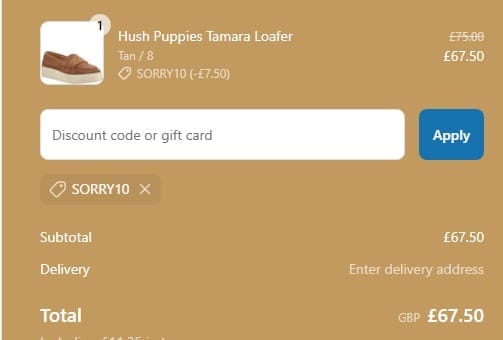 Screenshot of the Brantano discount code working
