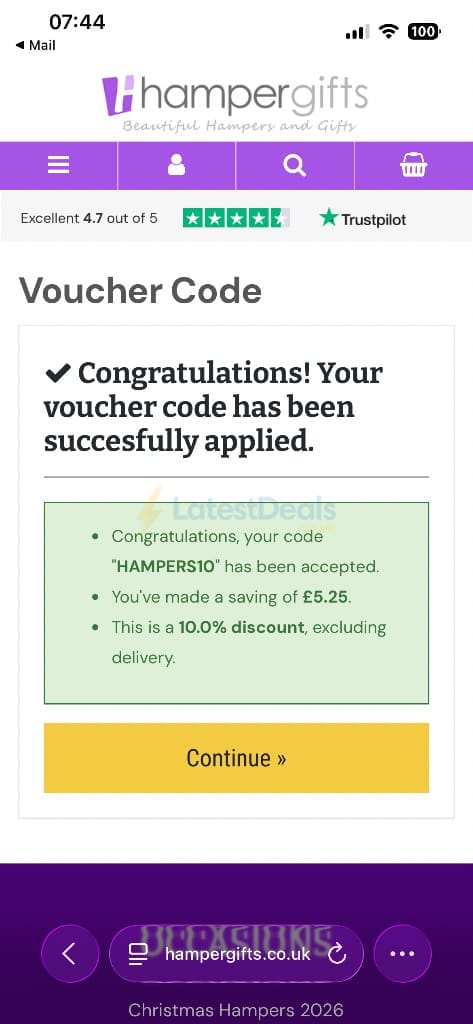Screenshot of the Hampergifts discount code working