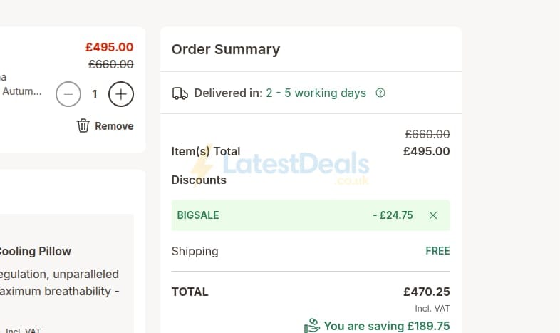 Screenshot of the Emma discount code working