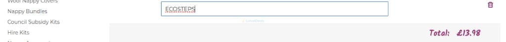 Screenshot of the The Nappy Lady discount code working