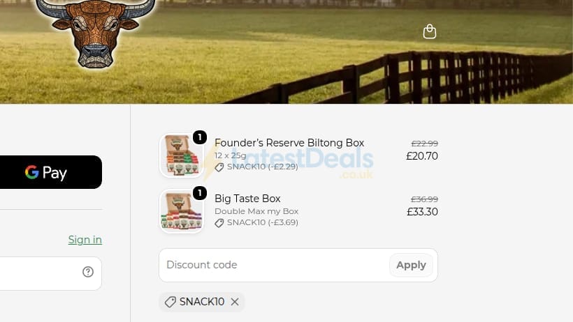 Screenshot of the The Original Biltong Company discount code working
