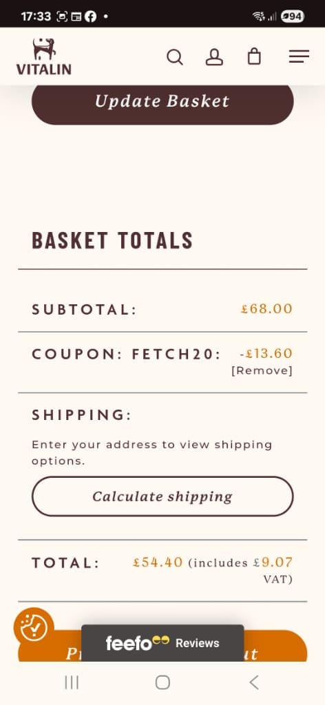 Screenshot of the Vitalin discount code working
