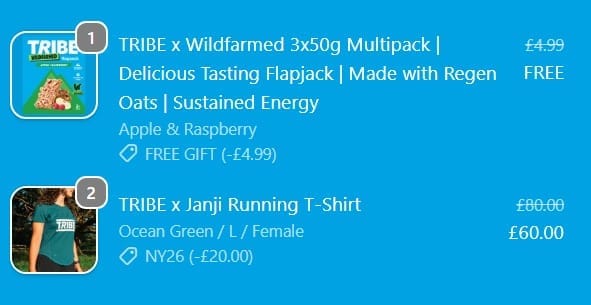 Screenshot of the Wearetribe discount code working