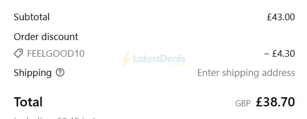 Screenshot of the hobo + co discount code working