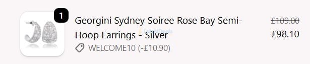 Screenshot of the Niche Jewellery discount code working