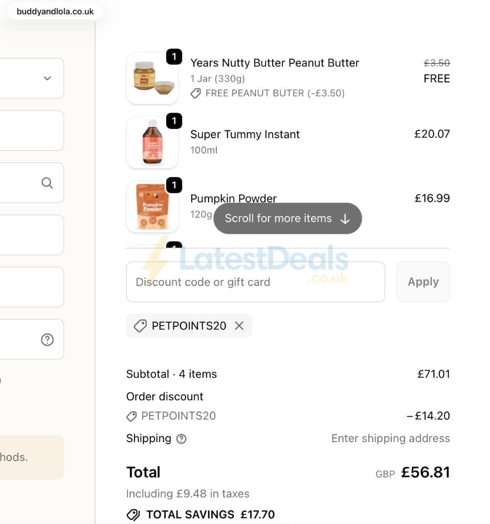Screenshot of the Buddy & Lola discount code working