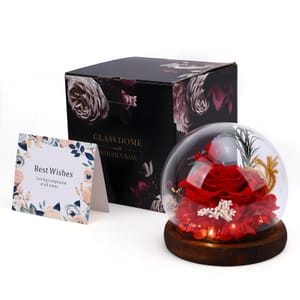 Gugxiom LED Glass Rose Eternal Light up Gift
