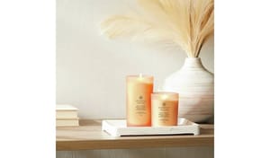 Chesapeake Bay Large Candle - Grapefruit Mango
