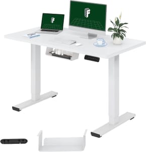 FLEXISPOT E1 ONE PIECE Electric Standing Desk