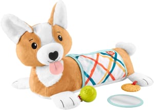 Fisher-Price 3-in-1 Puppy Tummy Time Toy with Mirror