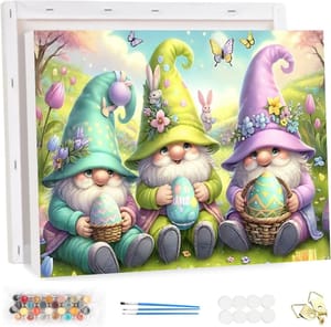 HEIBAGO Framed Gnomes Paint by Numbers Kit, 20x30cm
