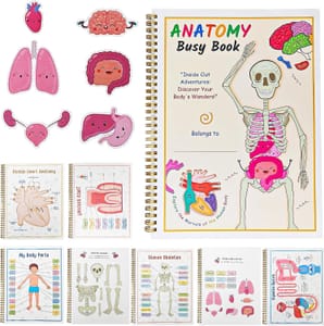 Human Anatomy Busy Book, Educational Interactive Learning, A4, 64 Pages