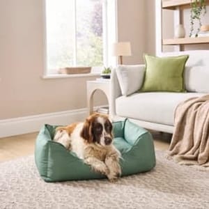 Water Resistant Box Pet Bed