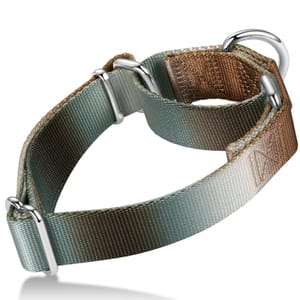 Axdvk Martingale Dog Collar Color Gradient, Anti-Escape, Silver Brown, Medium