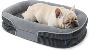 Bedsure Orthopedic Dog Bed, Medium, Grey, Oval Bolster