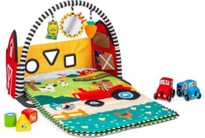 Baby Einstein Farm Explorers 4-in-1 Activity Gym with Shape Sorter