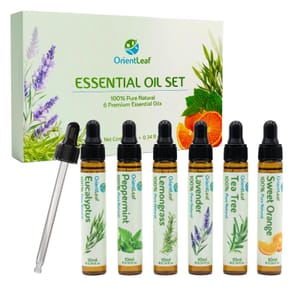 Essential Oils for Diffusers: Peppermint Lavender Eucalyptus - £5.69 S&S Voucher