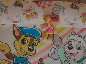 Pink Paw Patrol Duvet Cover and Pillowcase Single Set