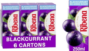 Ribena Blackcurrant Juice Drink 250ml Multipack 6 - £1.70 S&S Voucher