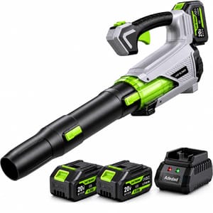 Cordless Leaf Blower 20V, 2x4.0Ah, Fast Charger, 580CFM, Variable Speed