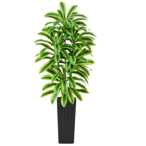 TNGGNT 7ft Artificial Dracaena Tree for Home or Office