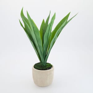 Beige & Green Artificial Plant 40x27cm