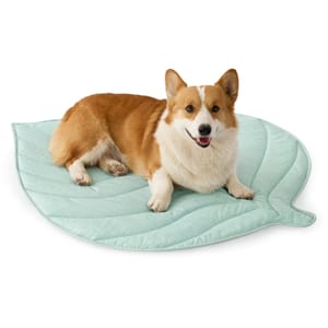 Cozy Kiss Cooling Mat for Large Dogs and Cats, Q-Max>0.4