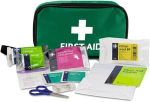 Reliance Medical Handy Travel First Aid Kit with Pouch (Green)