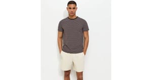 Brown Regular Short Sleeve Striped T-Shirt