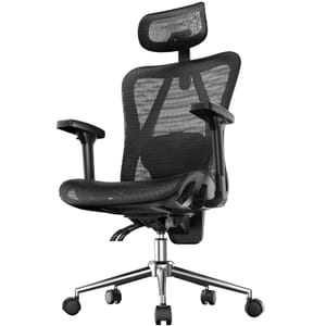 Naspaluro Ergonomic Mesh Office Chair