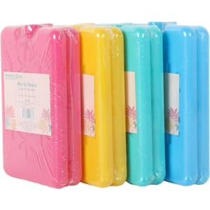 Single Summer Living Slim Ice Block 2 Pack in Assorted Styles