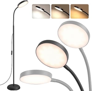 Floor Lamp for Living Room, 170 Cm 12W Reading Lamp Floor Standing,
