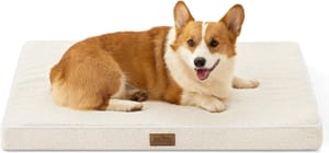 COZY KISS Orthopedic Dog Bed with Removable Cover, Grey, 36x27x3