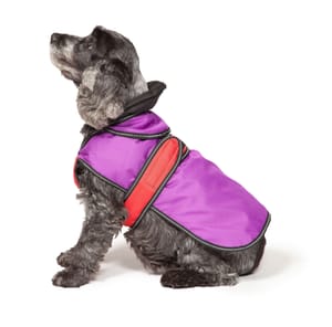 Danish Designs 2-in-1 Light Reflective Coat Purple 55cm