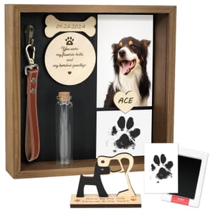 VavoPaw Memorial Gift Set: Shadow Box, Paw Print Kit