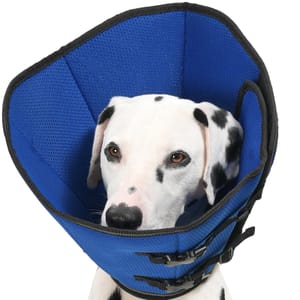DEAL STACK - Avont 2026 Upgraded Dog Recovery Collar, Breathable Elizabethan, M