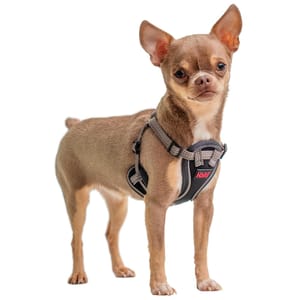 Halti Anatomy Harness for Puppy and Small Dogs XXS Grey