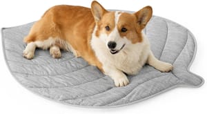 Cozy Kiss Leaf-Shaped Cooling Bed for Dogs and Cats, 86x99cm