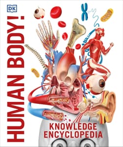 Knowledge Encyclopedia: Human Anatomy