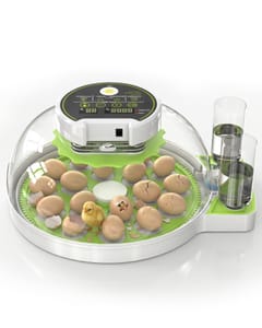 18-60 Egg Incubator with Auto Turning and Digital Temp/Humidity Control