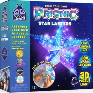 Purple Ladybug Prismic Light-up 3D Star Craft Kit