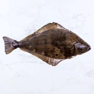 Halibut Portions (2x 120g-140g)