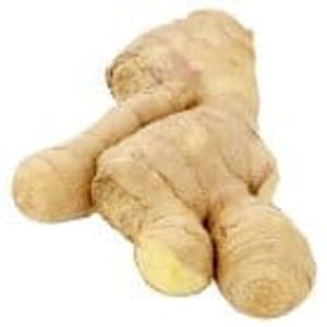 Root Ginger