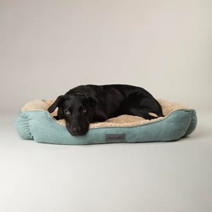 Scruffs Cosy Dog Box Bed XL
