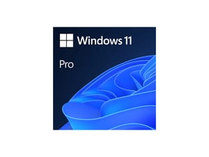 Windows 11 Pro