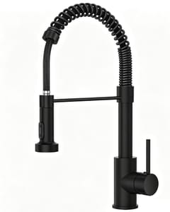FBUKE Black Sink Mixer with 2-Mode Pull-out Spray